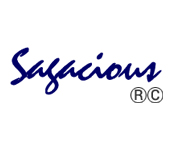 Sagacious
